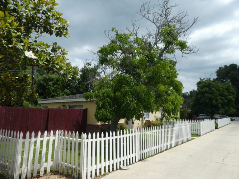Adams Road white picket fence