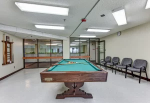 independence village pool table
