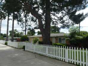 Adams Road picket fence